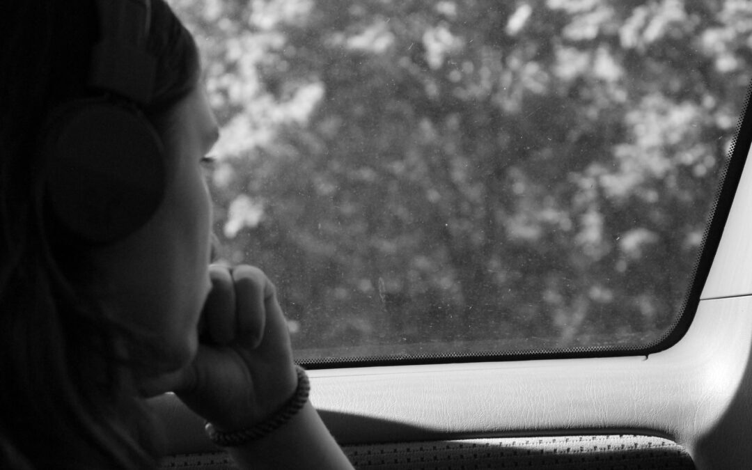 Peace in the Wilderness of Life